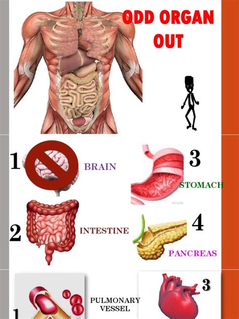 Nervous Odd Organ Out .